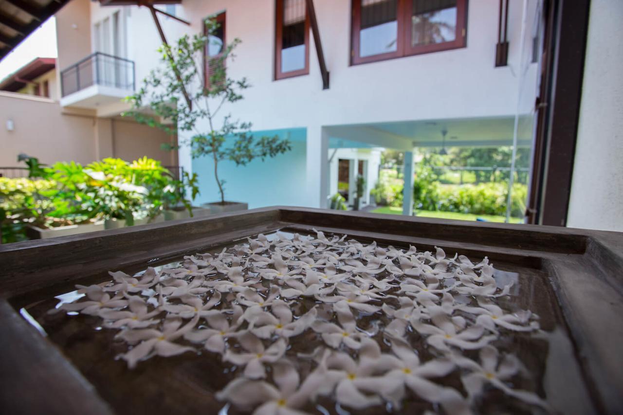 Villa Jasmine Breeze Kaduwela Extérieur photo